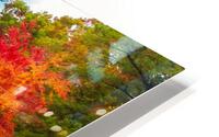 Fiery Maple HD Metal print