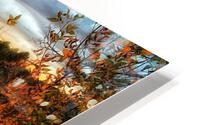Fall Sunset HD Metal print