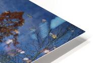 Magical Fall Colors HD Metal print