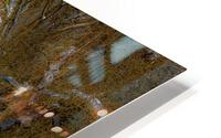 Snowy Lane HD Metal print