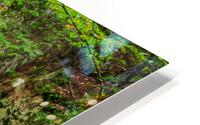 Waterfall In The Forest HD Metal print