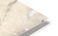 D HD Metal print