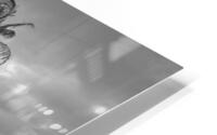 The Black and White Collection 115 for the Rare Masters Series Limited Patron Edition Printing of 50 HD Metal print