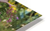 A Large Male Elk Roaming in a Field Of Flowers HD Metal print