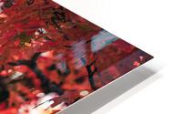 Vibrant Fall Tree HD Metal print