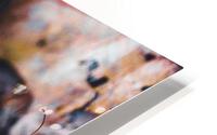 Blue Jay Feather on a Bed Of Leaves HD Metal print