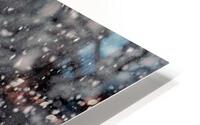 A Snowy Day HD Metal print