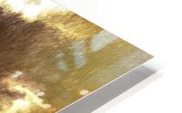 Big Barn HD Metal print