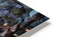 Cedar Grove Oil Painting HD Metal print