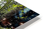 Creek Crossing HD Metal print