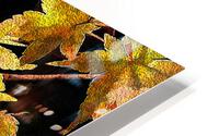 Autumn s Touch HD Metal print