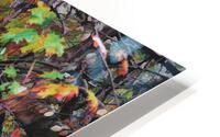 Fall Oak Leaves HD Metal print