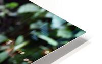 Little Life HD Metal print