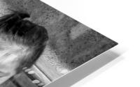 BW   Candid Retrospective 2001   Salt Water Taffy   HC Stanek   Rare Limited Edition HD Metal print