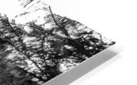 BW Serenity Found in the Alps of Switzerland 3 of 3   HC Stanek   Rare Limited Edition HD Metal print