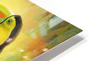 Digital Toucan HD Metal print