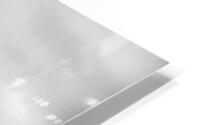 Soaring HD Metal print