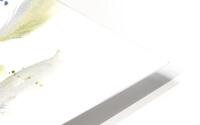 Parrot feathers Impression metal HD