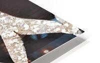 Chocolate Sea Shells Impression metal HD