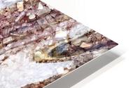 Blush HD Metal print