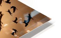 Cranes Flying At Sunset HD Metal print
