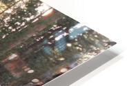 Tunnel Log Sequoia National Park HD Metal print