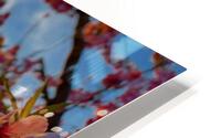 Bloom HD Metal print