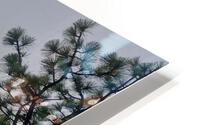 Overlook with Snow HD Metal print