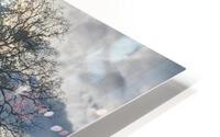 Foothills and Trees HD Metal print
