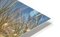Dune Panorama HD Metal print