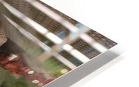 Chameleon HD Metal print