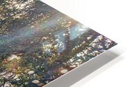 Hwy 198 Sequoia and Kings Canyon National Park  HD Metal print