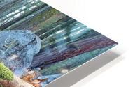 Moss HD Metal print