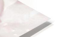 Fleur de cerisier  |  Cherry Blossom Impression metal HD