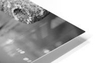 Machinations HD Metal print