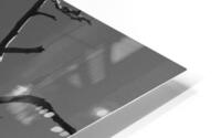 Bare Bones HD Metal print
