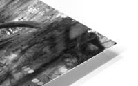 The Old Man of the Cemetery HD Metal print