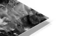 Countless Paths Forward HD Metal print