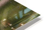 2022 June 04 LilBlu01 HD Metal print