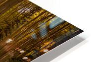 Aspen Afternoons HD Metal print