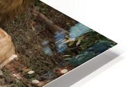 Lions and Hippo HD Metal print