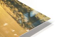 Turnagain Pass Summer HD Metal print
