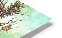 Lesom Impression metal HD