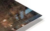 2319 HD Metal print