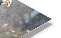 Bald Eagle in the Rain HD Metal print