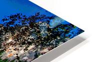 LANDSCAPES COLLECTION - YOSEMITE NATIONAL PARK - VALLEY VIEW  HD Metal print