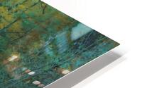 Pathway Series-3 Sulphur Park HD Metal print