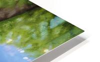 Freebie HD Metal print