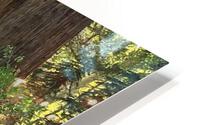 Fall Arrival HD Metal print