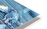 Seashells Heart With Blue Orchid Flower Beach HD Metal print